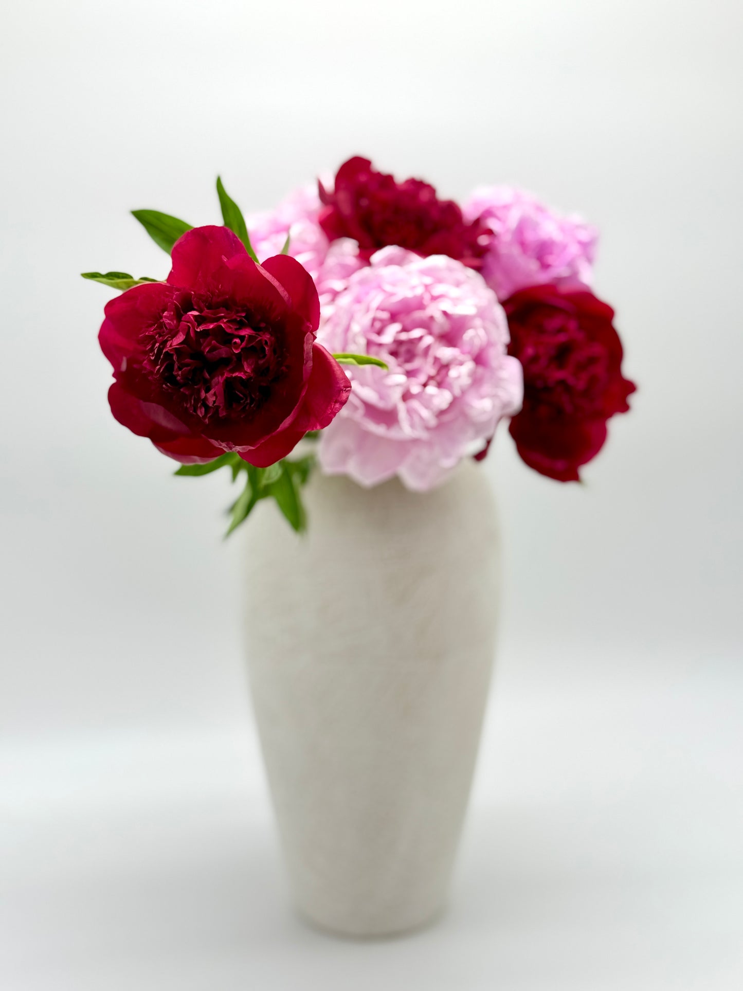 The Peony Edit